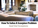 Learn how we can help solve scorpion problems