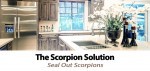 The Scorpion Solution For Your Scottsdale Arizona Home!