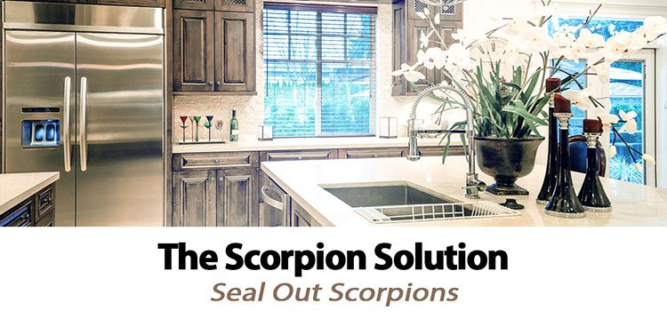 The scorpion solution by Seal Out Scorpions