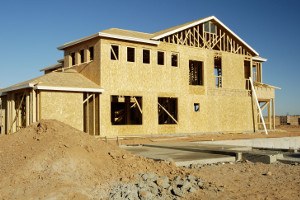 New construction properties scorpion prevention sealing in Mesa AZ