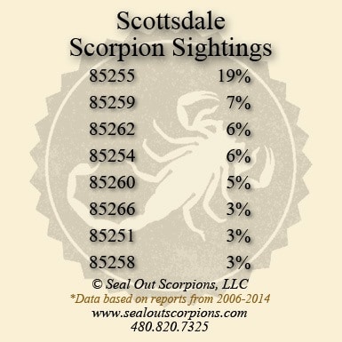 Scottsdale Scorpion Sightings