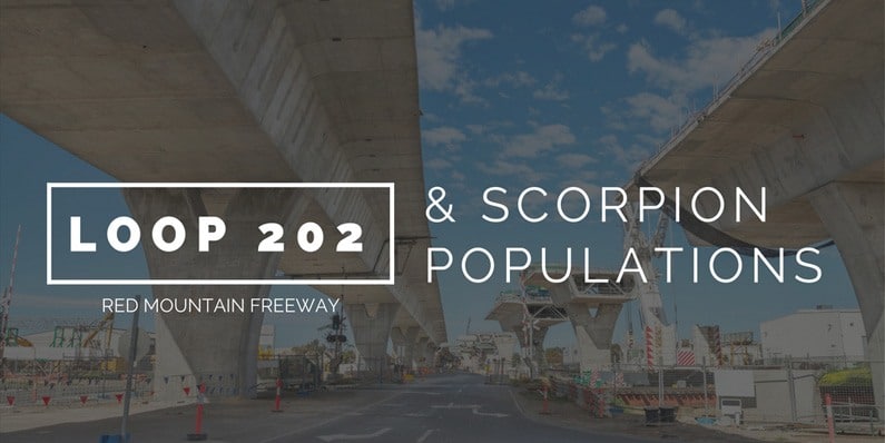 South Mountain Freeway/Loop 202  Will Create Negative Impact on Scorpion Control