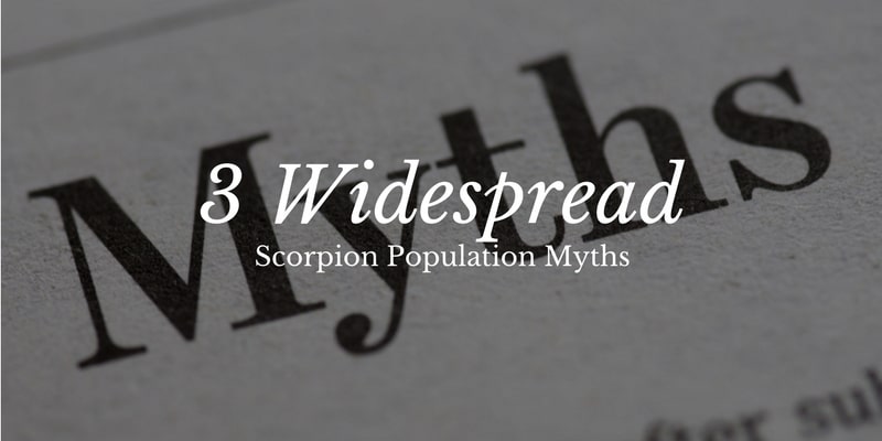 3 Widespread Scorpion Population Myths