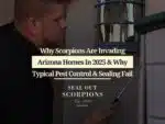 Why Scorpions Are Invading Arizona Homes In 2025 & Why Typical Pest Control & Sealing Fail