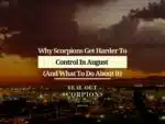 Why Scorpions Get Harder To Control In August (And What To Do About It)