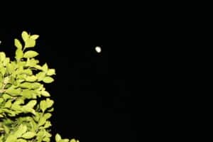 Monsoon & Moon in Phoenix 2025