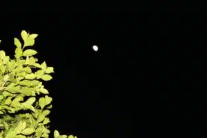 Monsoon & Moon in Phoenix 2025