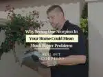 Why Seeing One Scorpion In Your Home Could Mean Much Bigger Problems