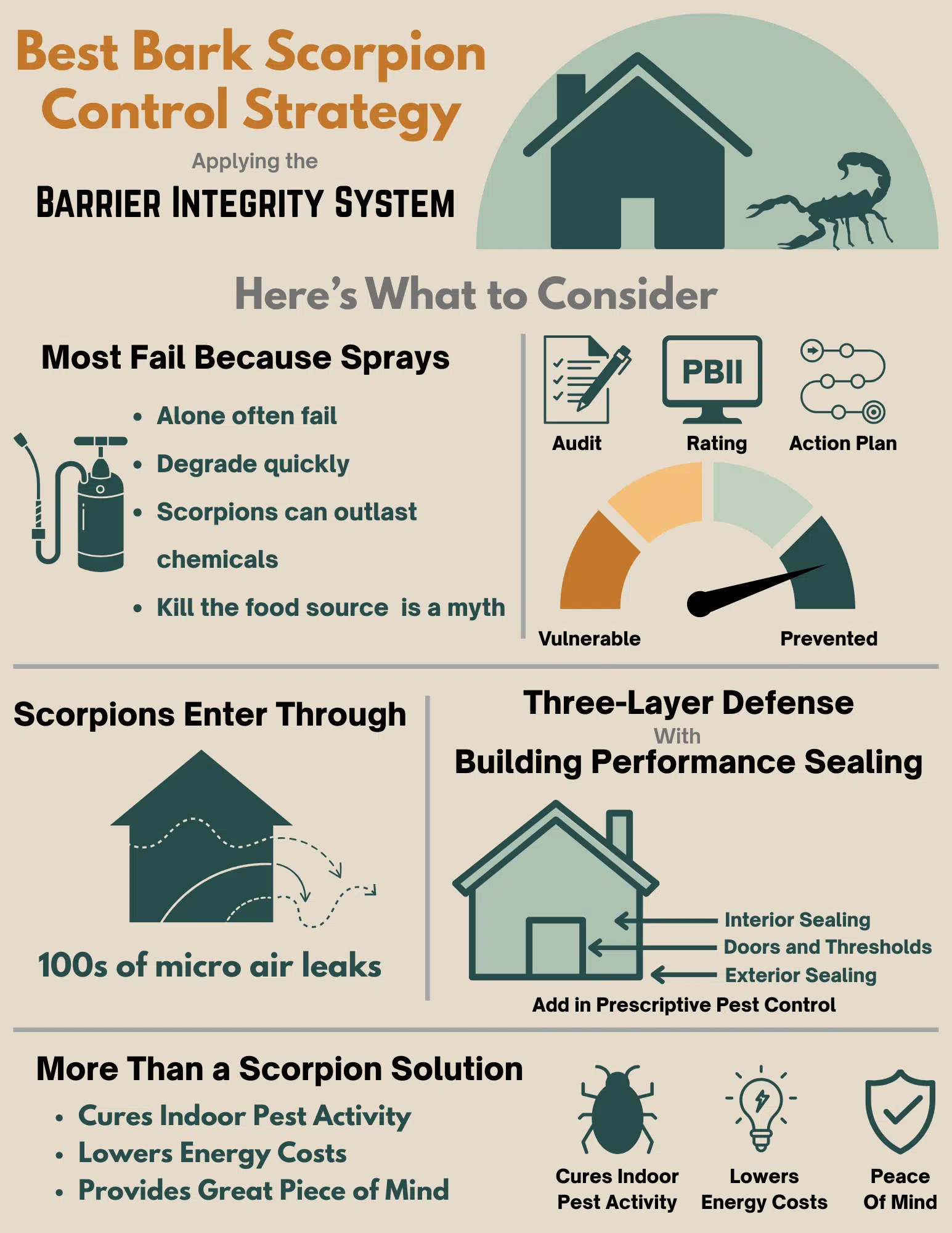 Best Bark Scorpion Control Strategy infographic