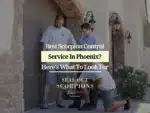 Best Scorpion Control Service in Phoenix? Here’s What to Look For