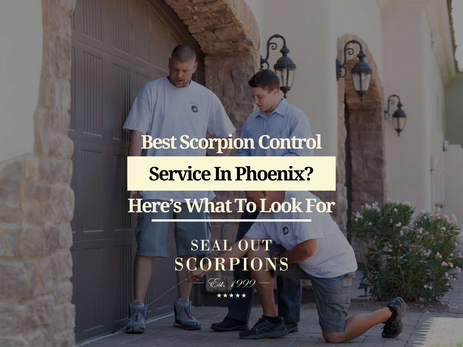 Best Scorpion Control Service in Phoenix? Here's What to Look For - Scorpion Control Services For Schools