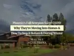 Phoenix’s Fall Scorpion Surge (2025): Why They’re Moving Into Homes & How To Stop It Before & During Winter