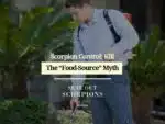 Scorpion Control: Kill The “Food-Source” Myth
