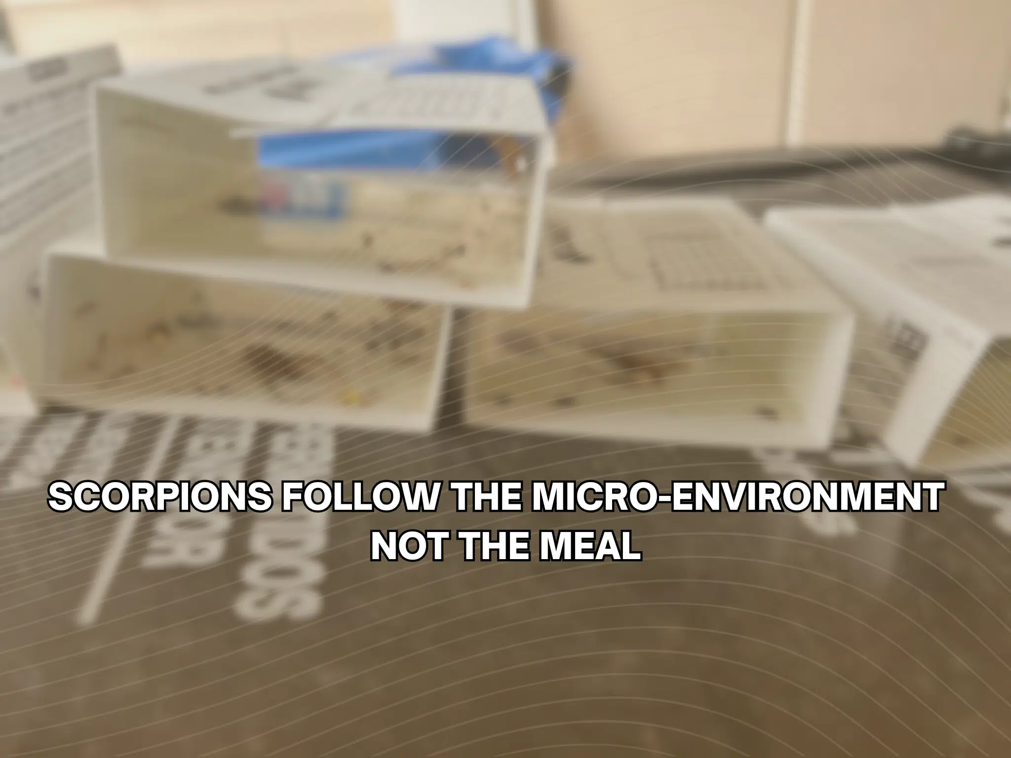 Scorpions follow the micro-environment Not the meal