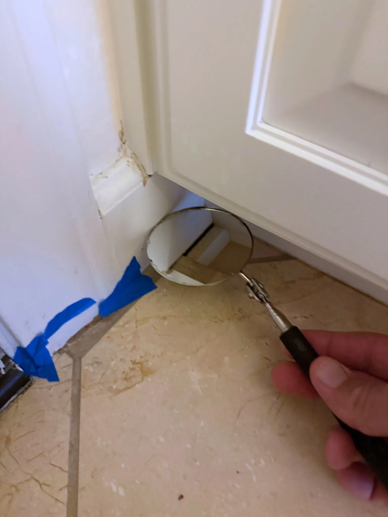 Interior Sightings After Treatment