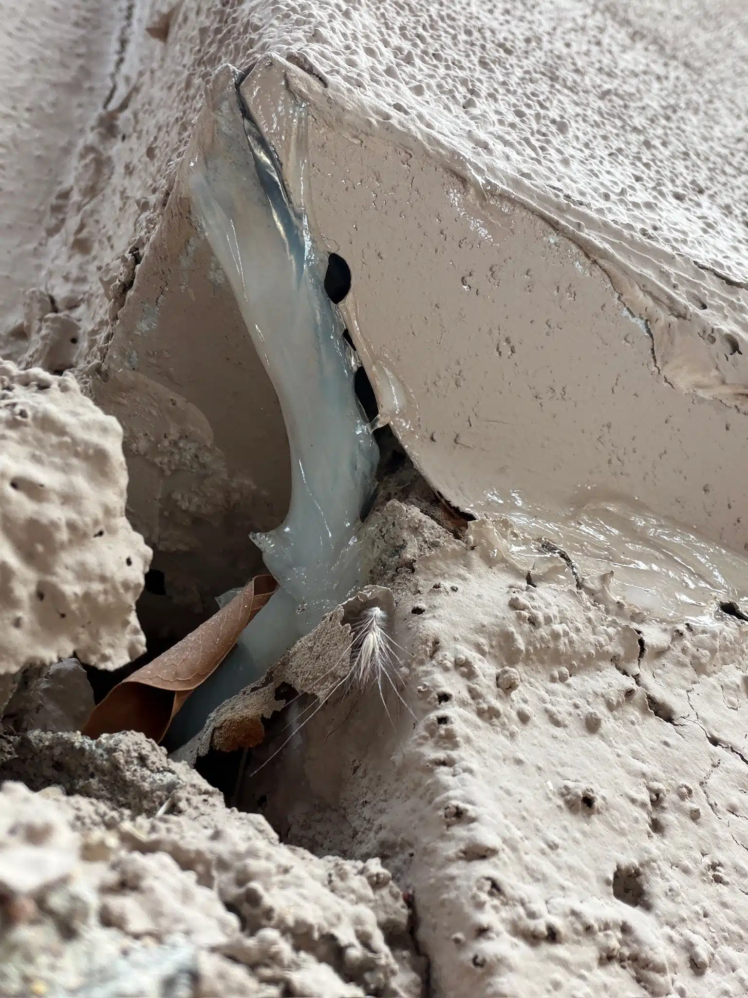 Sealing That Looks Complete but Isn’t