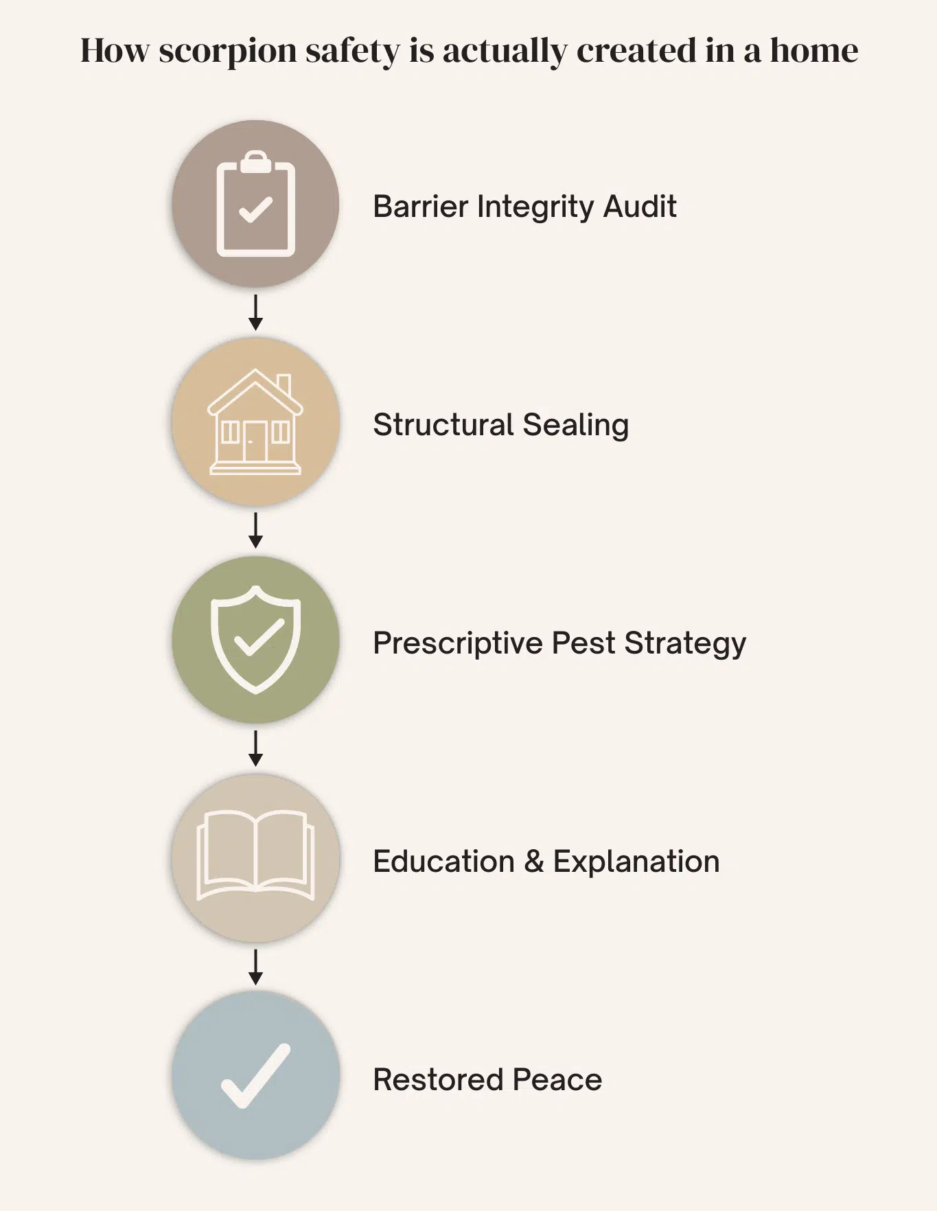 Step-by-step process for creating scorpion safety in a home through barrier audits, structural sealing, pest strategy, education, and restoring peace