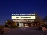 Scorpion Season in Arizona: The Top Mistakes Residents Make in March