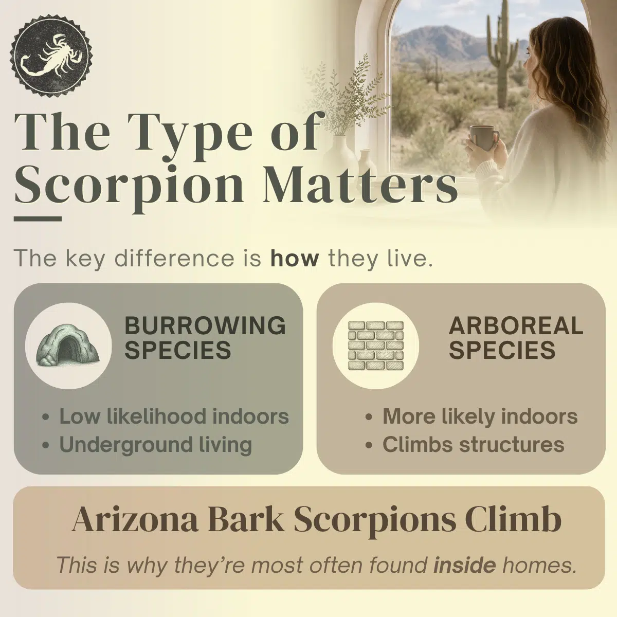 Arizona Bark Scorpions Climb Into Homes