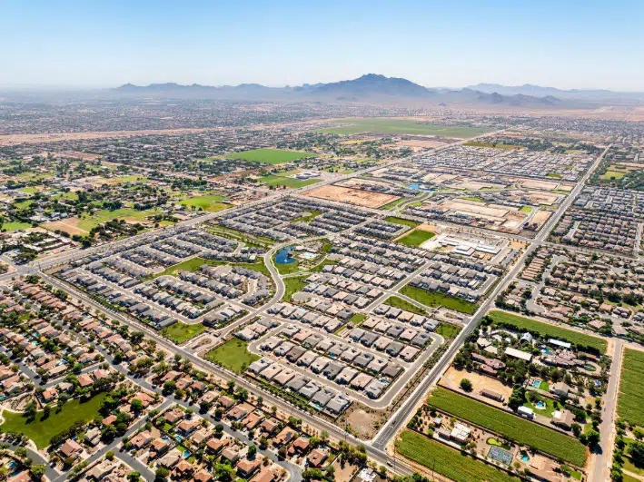 Neighborhood Layout Reveals Arizona Scorpion Pathways