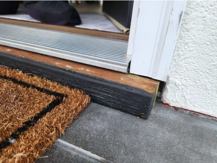 Door Threshold Gap Allows Scorpion Entry