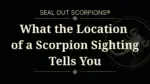 What the Location Of a Scorpion Sighting Tells You