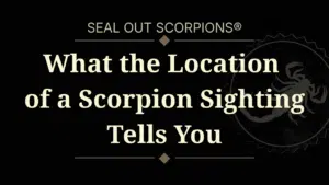 What the Location Of a Scorpion Sighting Tells You