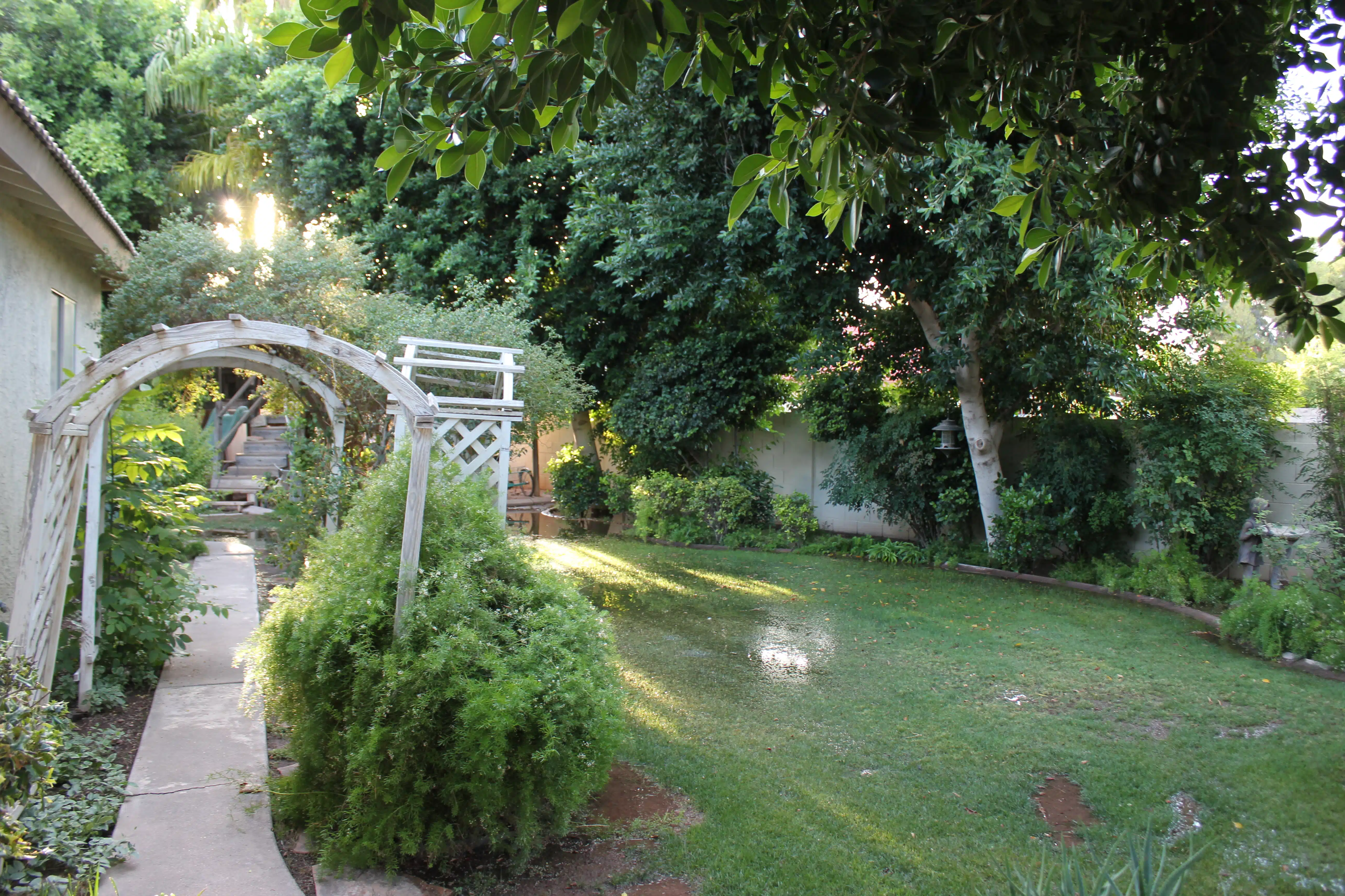 Irrigated Arizona Yard Providing Moisture for Scorpions