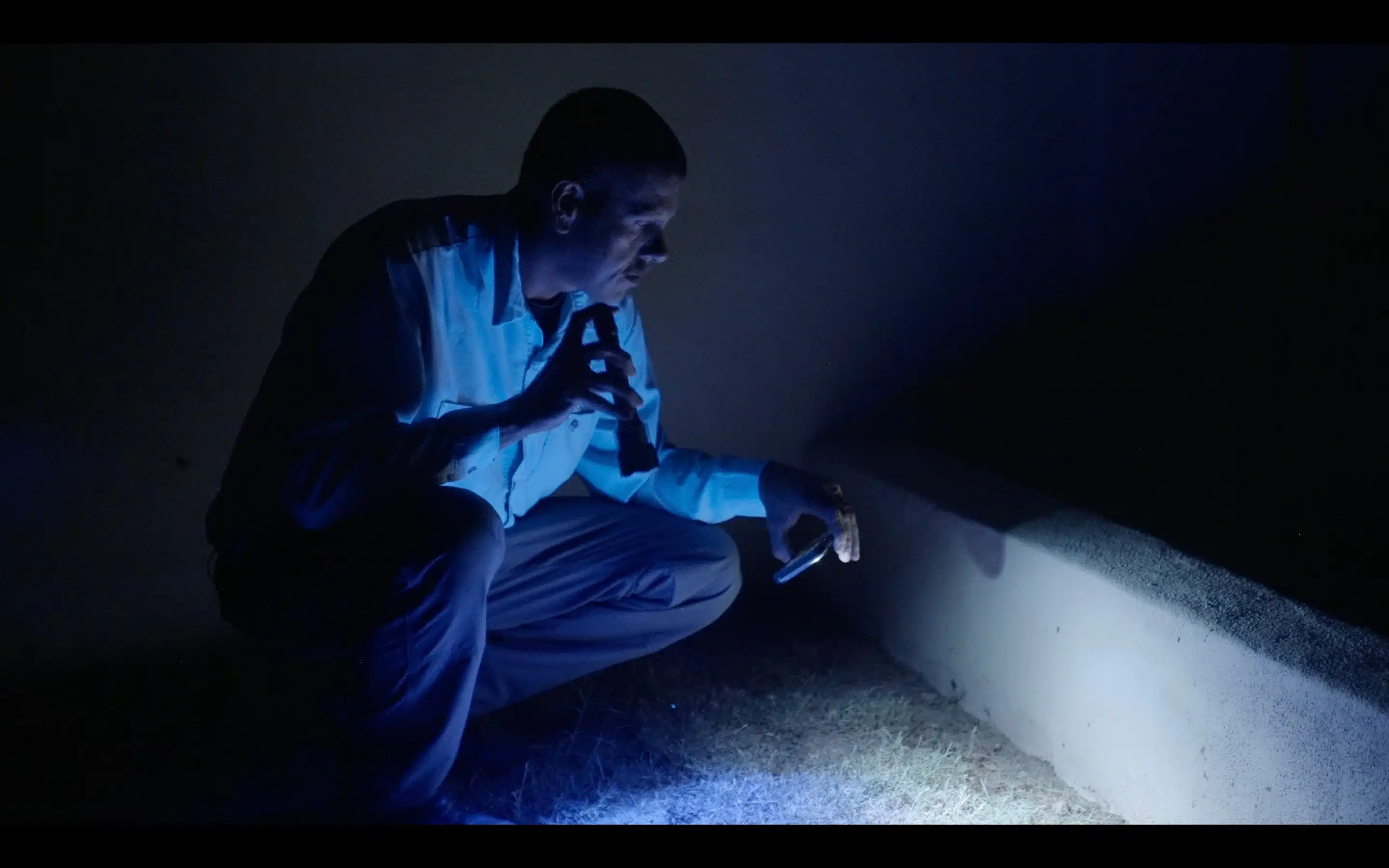 How to Find Scorpions at Night in Arizona and What a Scorpion Search Can Tell You