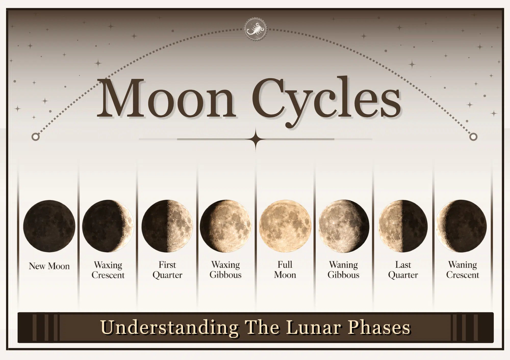 Moon Phases and Scorpion Activity