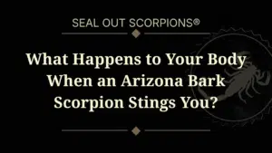 What Happens to Your Body When an Arizona Bark Scorpion Stings You?