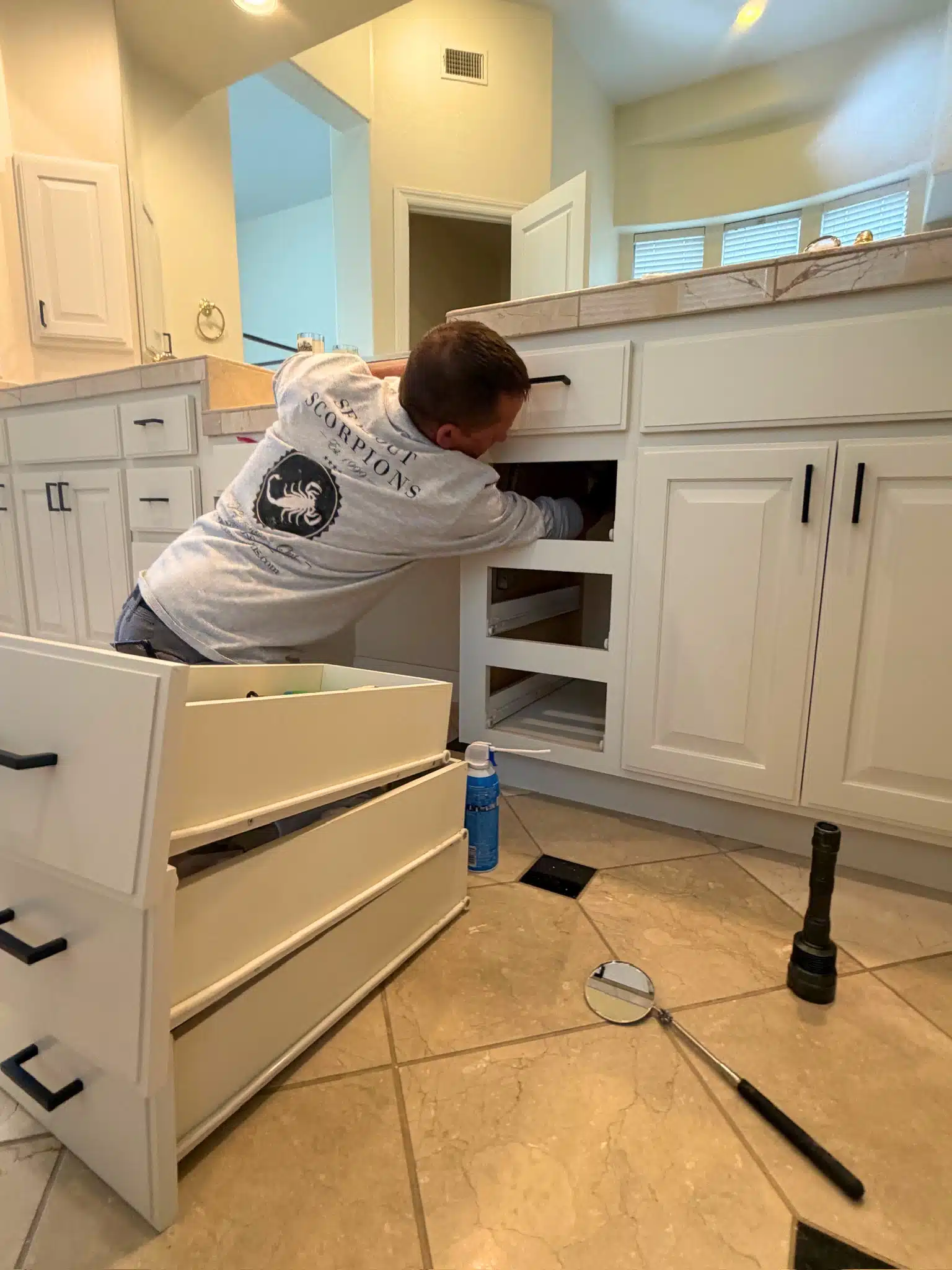 Scorpion Control Inspection Inside Bathroom Cabinets