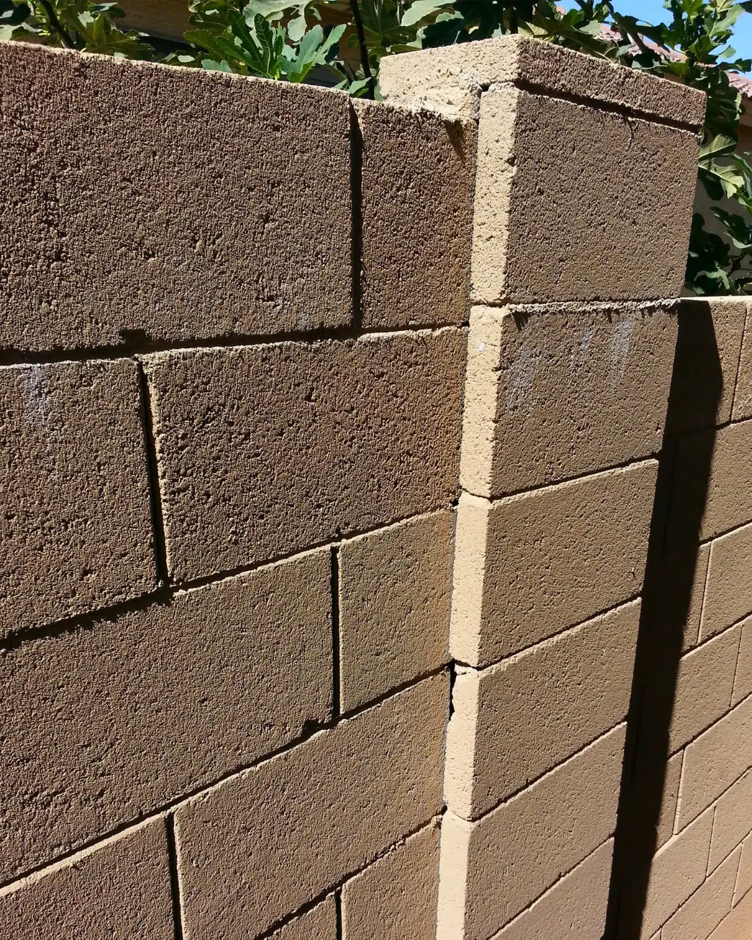 Scorpion Pressure Around Arizona Block Walls