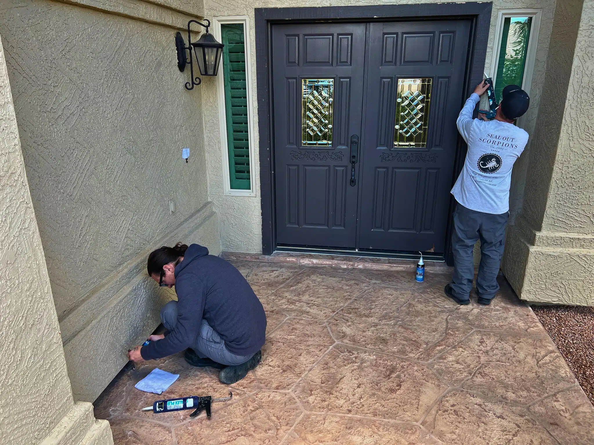 Scorpion Entering An Arizona Home Through Hidden Pathways