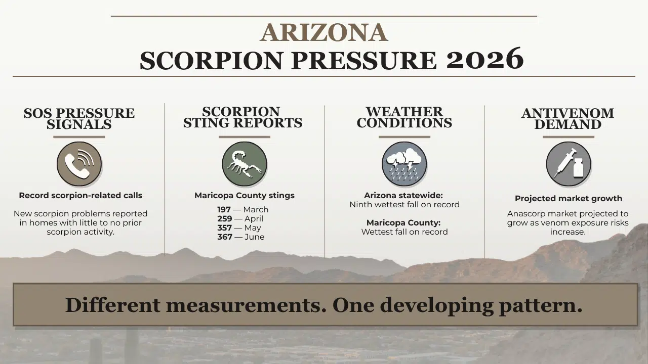 Arizona Scorpion Pressure 2026 With Sting Reports and Antivenom Demand