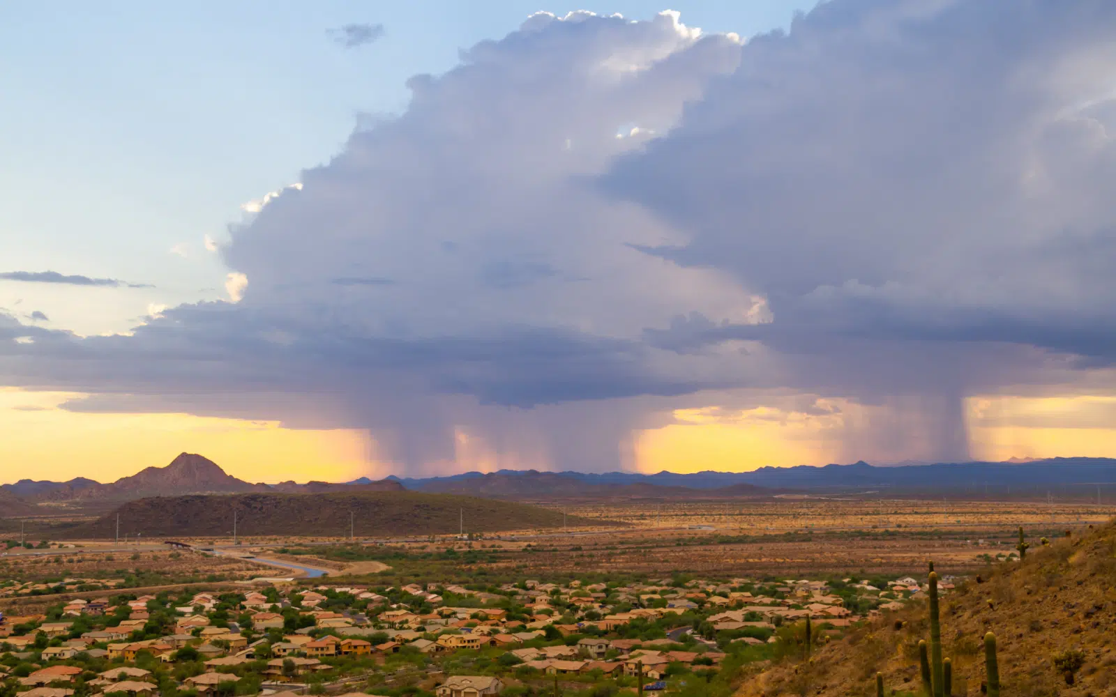 Arizona Weather Conditions Driving 2026 Scorpion Pressure