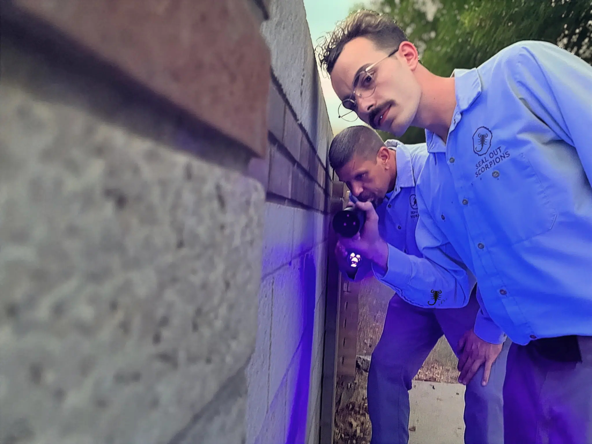 Nighttime UV Scorpion Search Identifying Pest Pressure